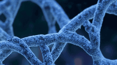 Rare Genetic Disorders: How CRISPR Could Offer Hope for Previously Incurable Diseases